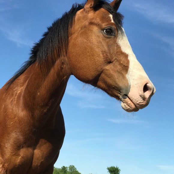 Meet your Posher, Tarryn - Picture 1 of 2